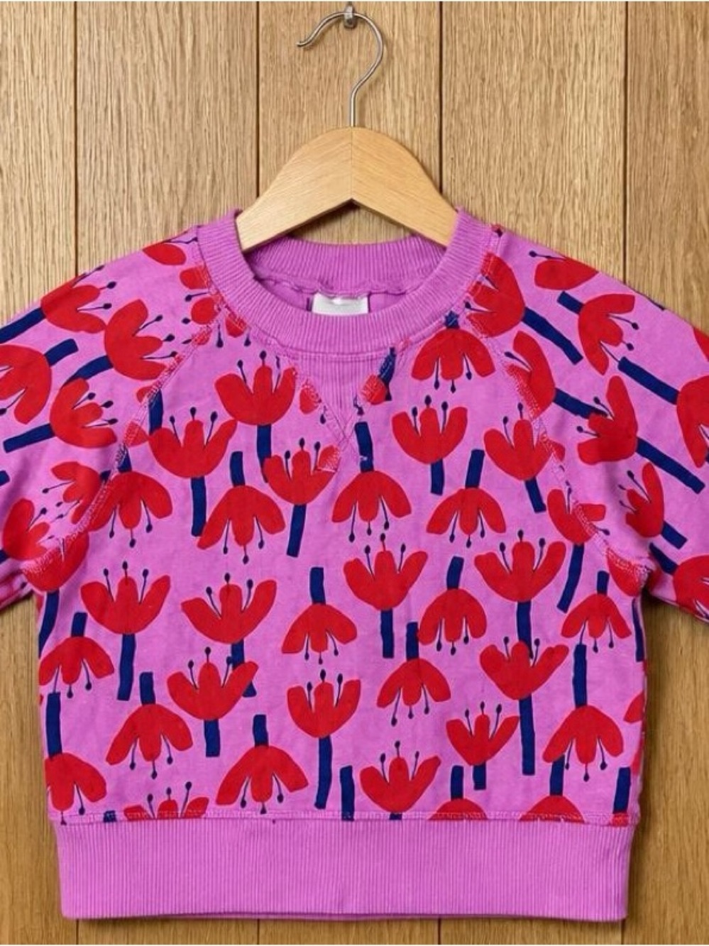Hanna Andersson Girls Sweatshirt Size 4 100 Pink Red Floral Flowers Pullover
